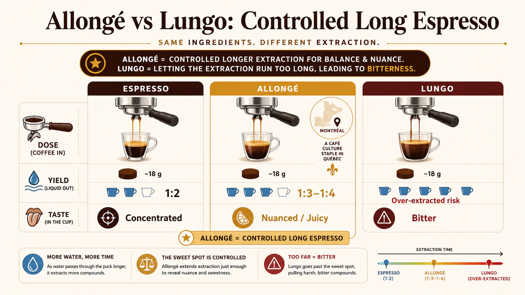 Allongé vs lungo infographic comparing espresso, allongé, and lungo extraction ratios and flavor risk