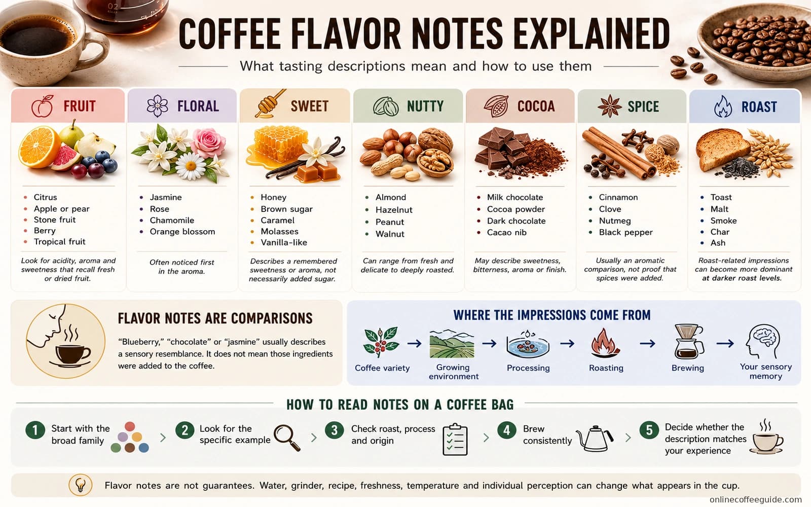 Coffee flavor notes chart showing fruit, floral, sweet, nutty, cocoa, spice, and roast examples.