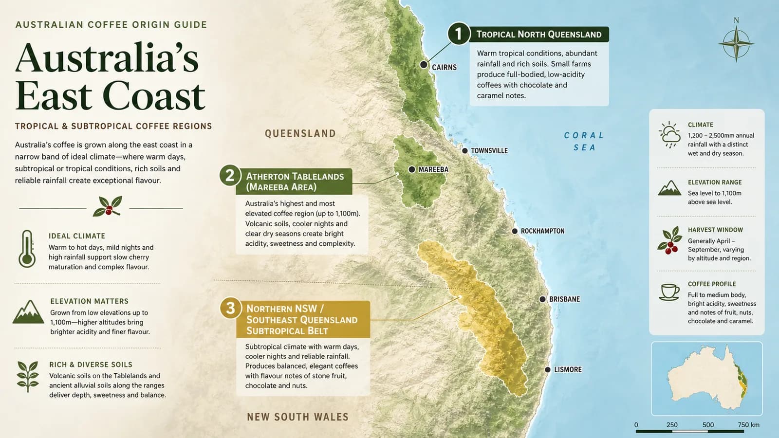 Map-style visual of Australia's main coffee-growing areas in Queensland and northern New South Wales