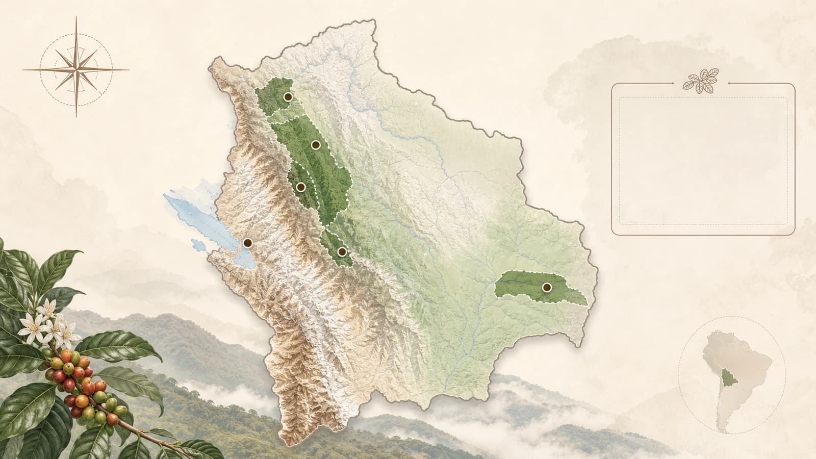 Map-style visual showing Bolivian coffee-growing regions