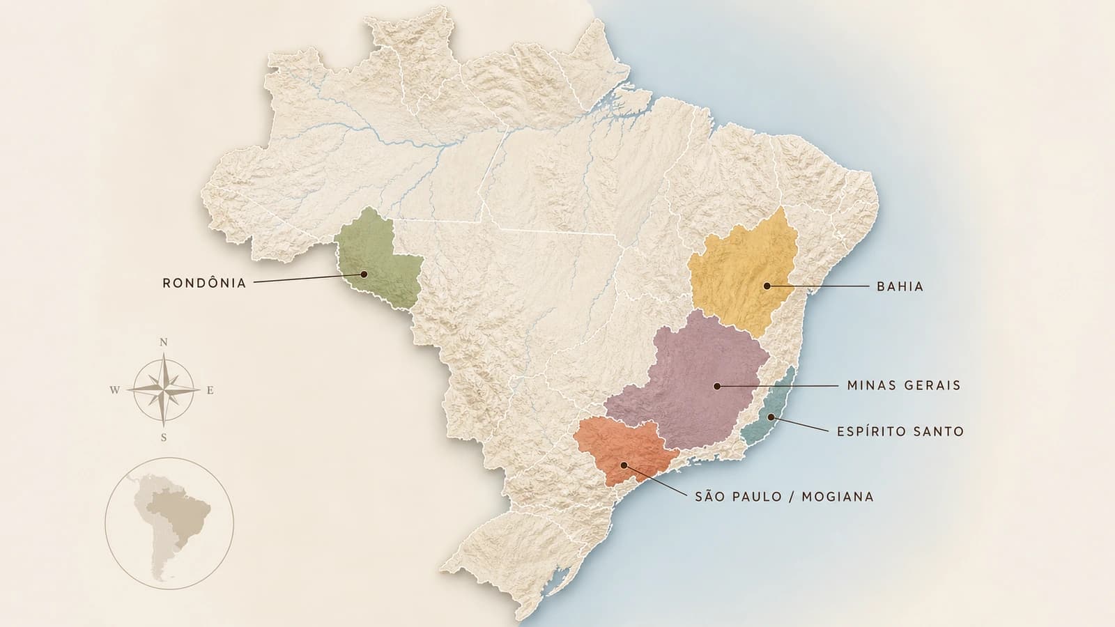 Map-style visual showing Brazilian coffee-growing regions