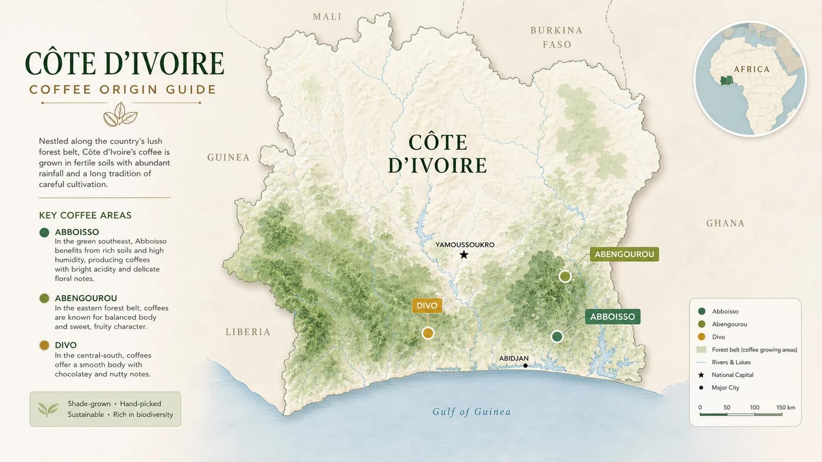 Map-style visual showing Côte d’Ivoire coffee-growing regions