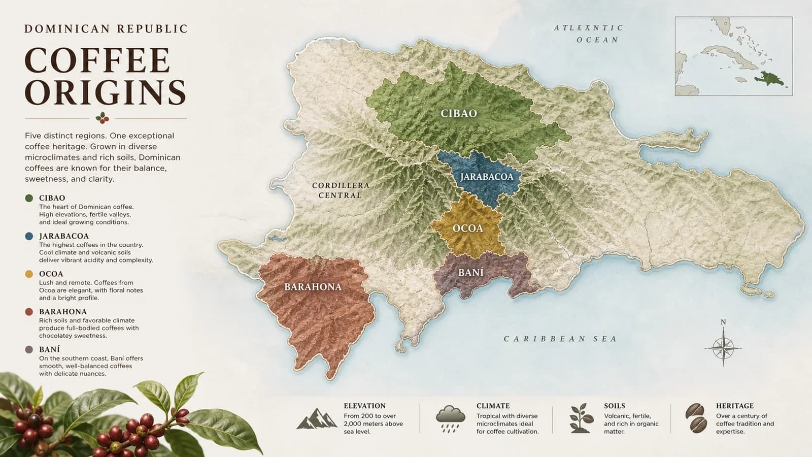 Map-style visual showing Dominican Republic coffee-growing regions
