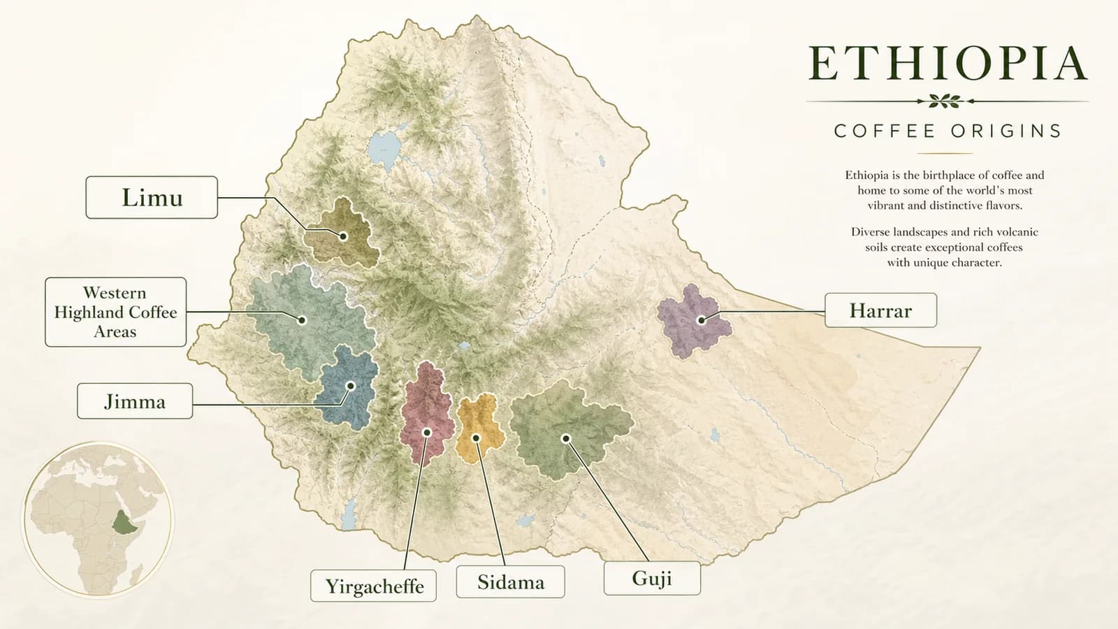 Map-style visual showing Ethiopian coffee-growing regions