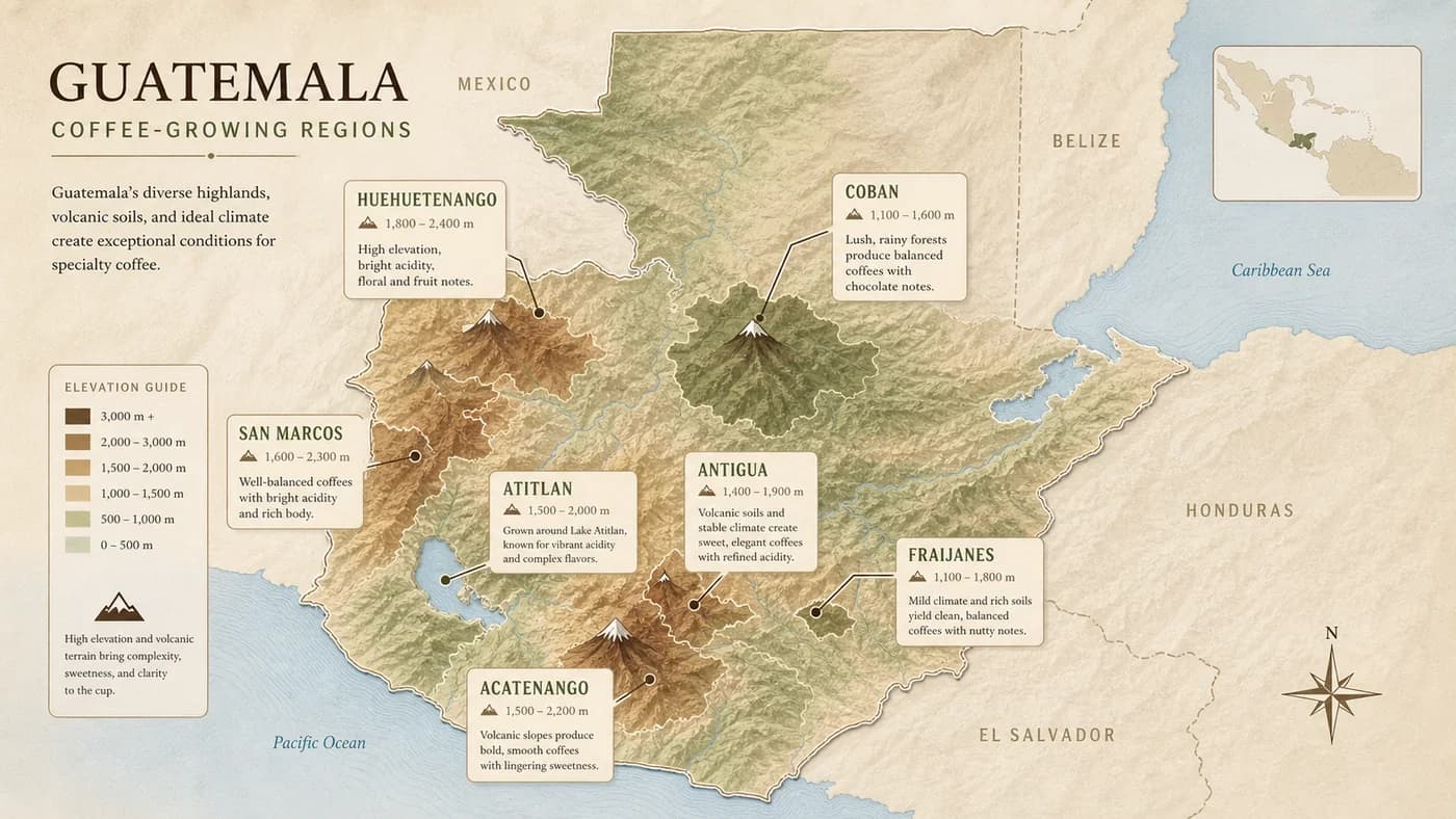Map-style visual showing Guatemalan coffee-growing regions