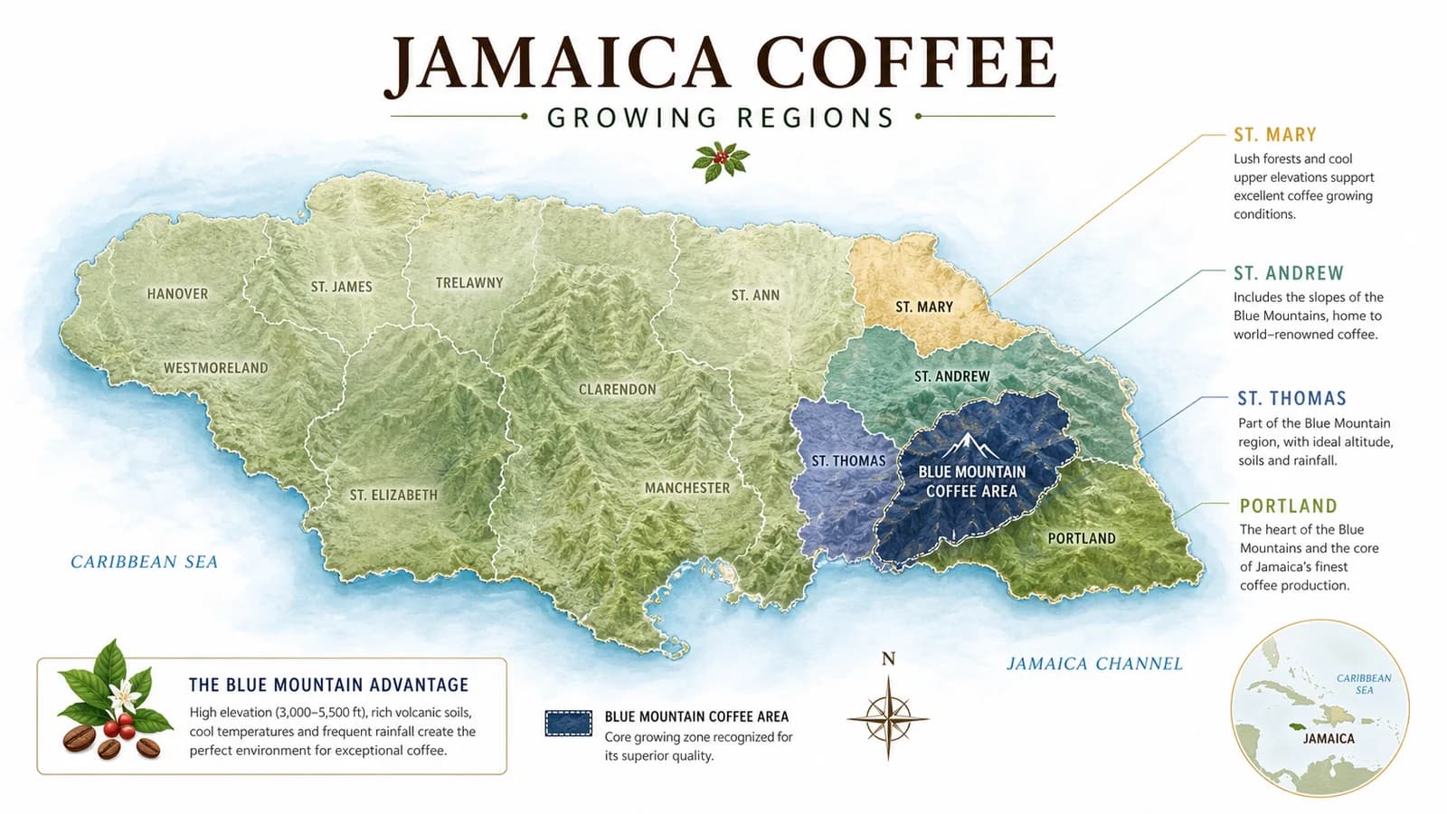 Map illustrating Jamaica coffee-growing areas and regional context