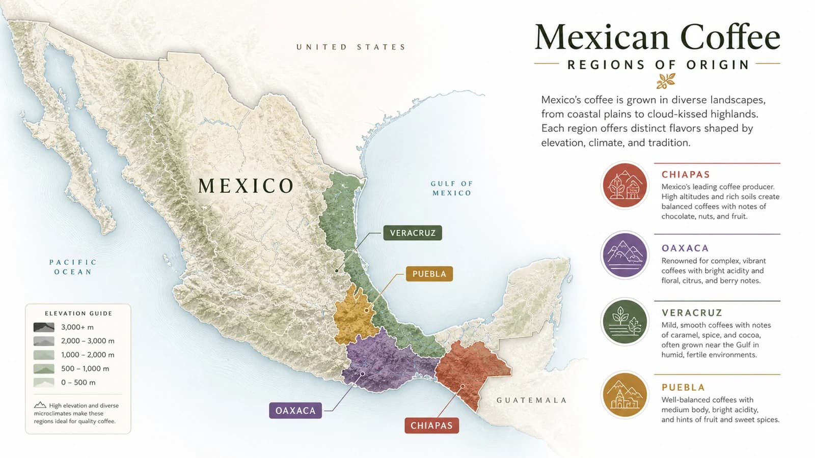 Map-style visual showing Mexican coffee-growing regions