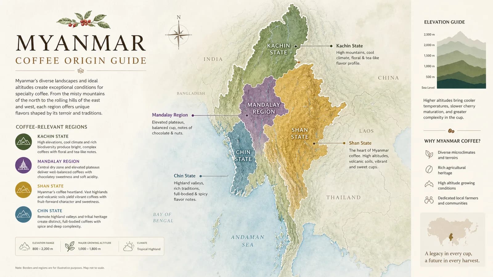 Illustrated overview of Myanmar coffee-growing places