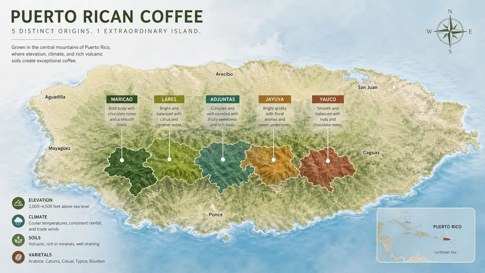 Map-style visual showing Puerto Rican coffee-growing regions