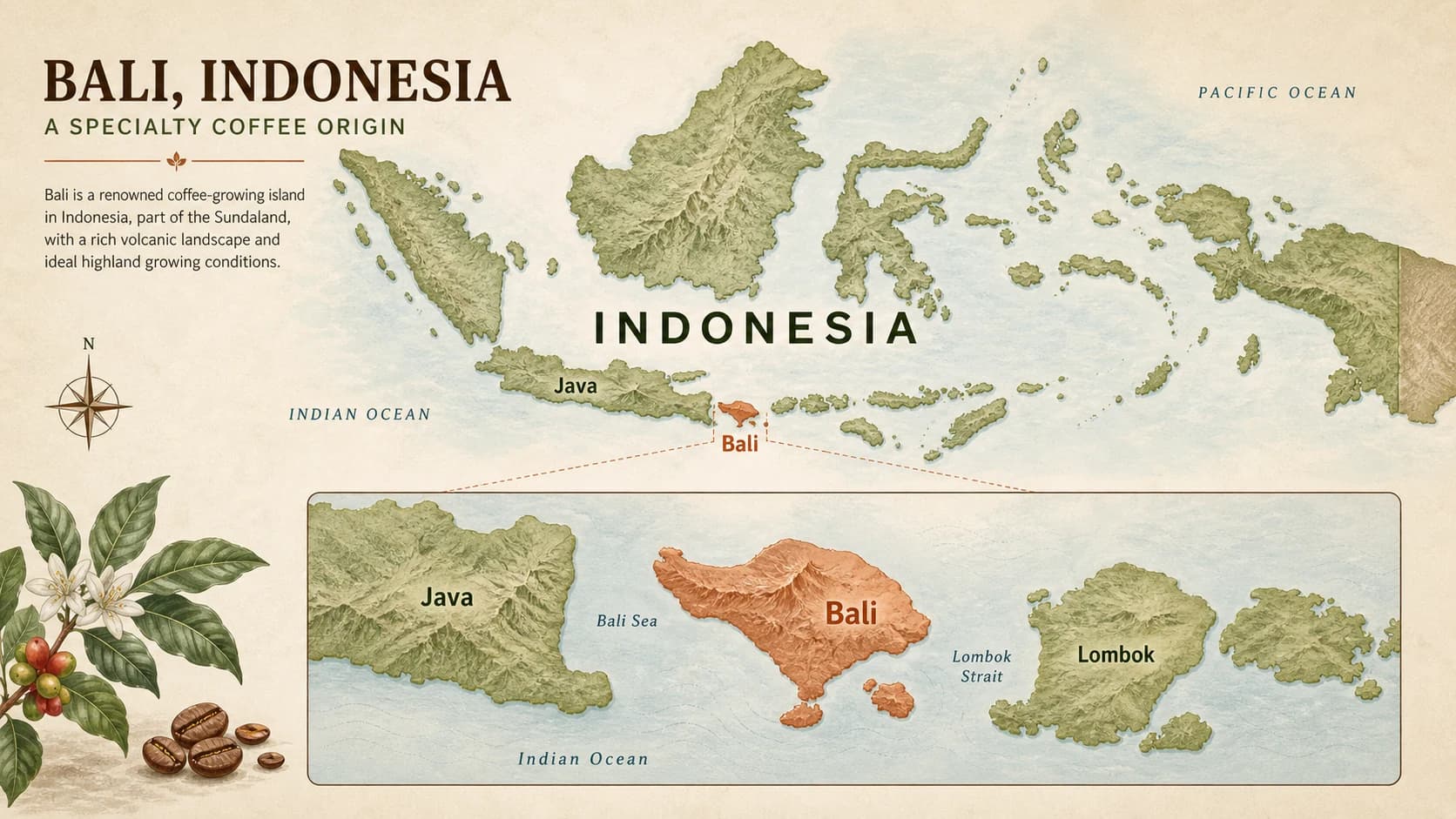 Bali coffee region map within Indonesia