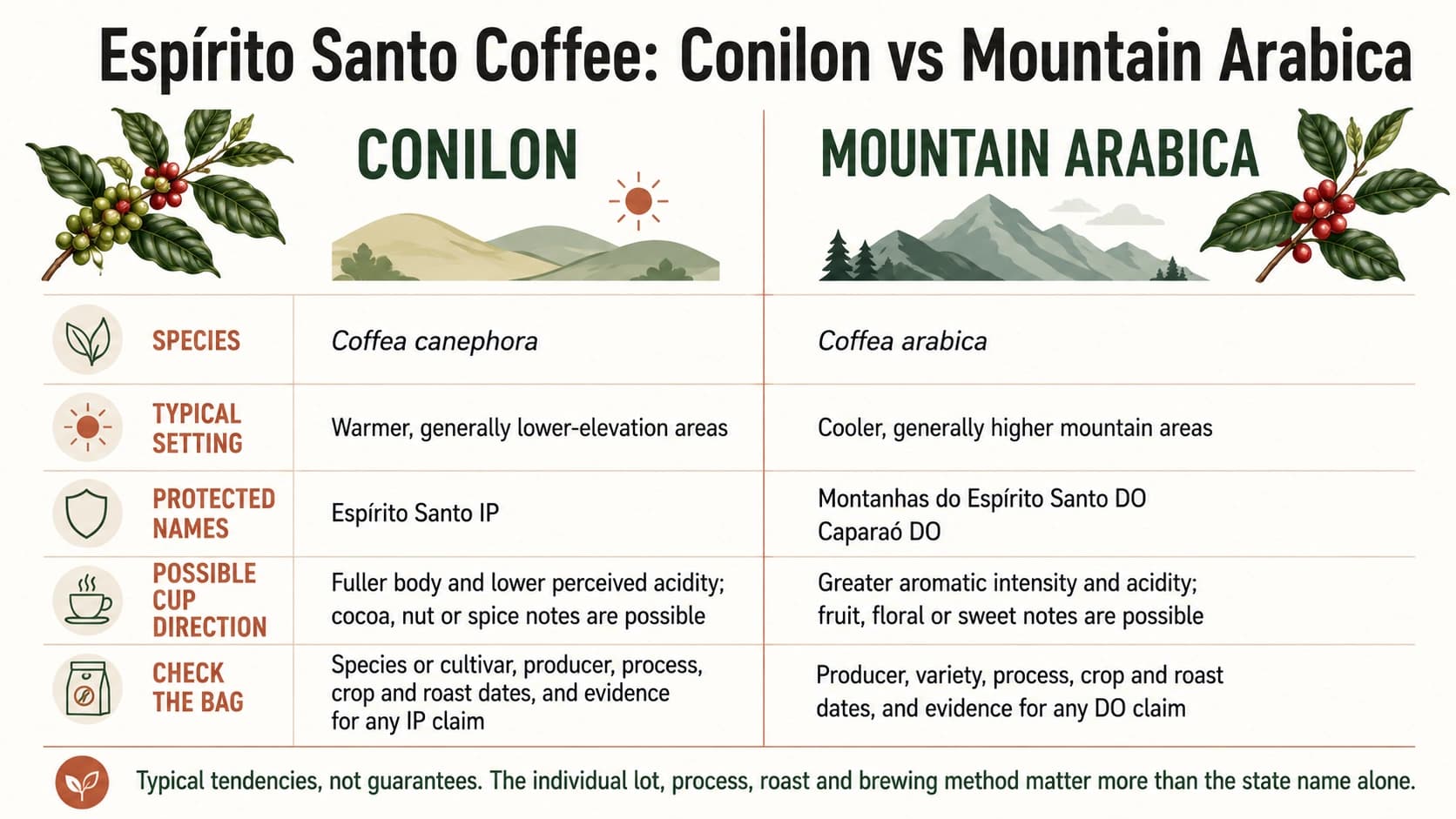 Comparison of Espírito Santo Conilon and mountain Arabica by species, growing setting, protected names, cup tendencies and coffee bag checks