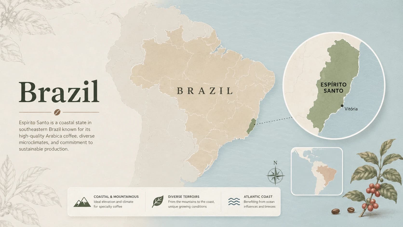 Locator map for Espírito Santo coffee within Brazil