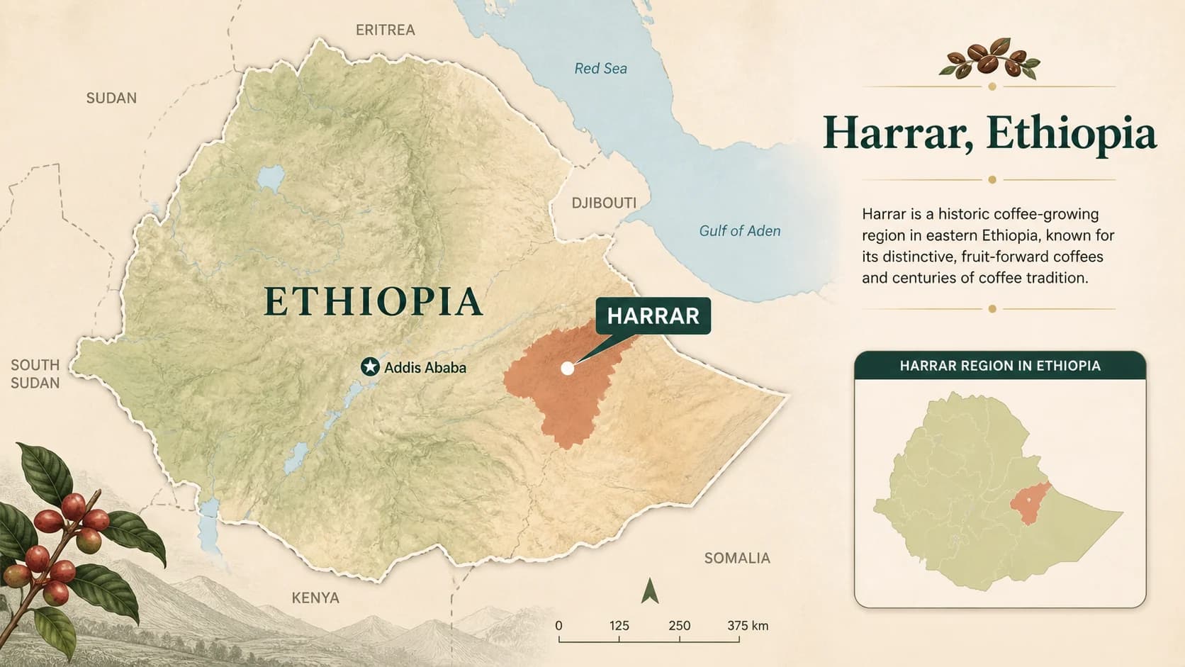 Harrar coffee region map within Ethiopia