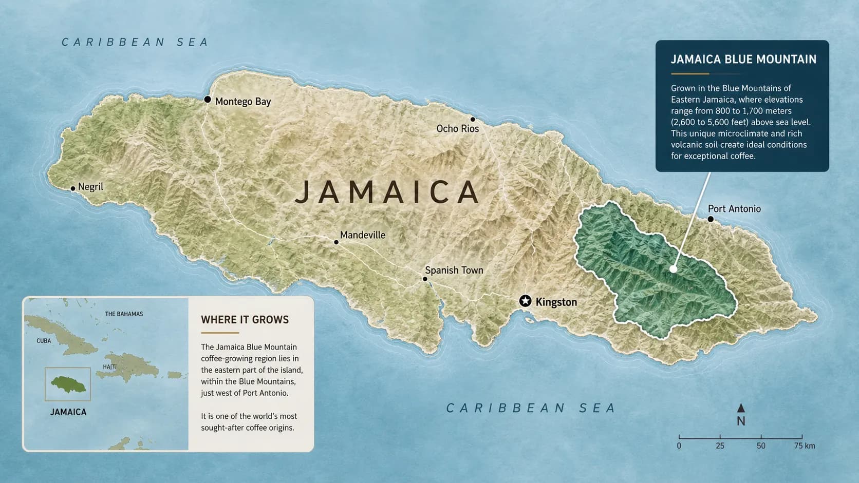 Map showing the Jamaica Blue Mountain coffee area