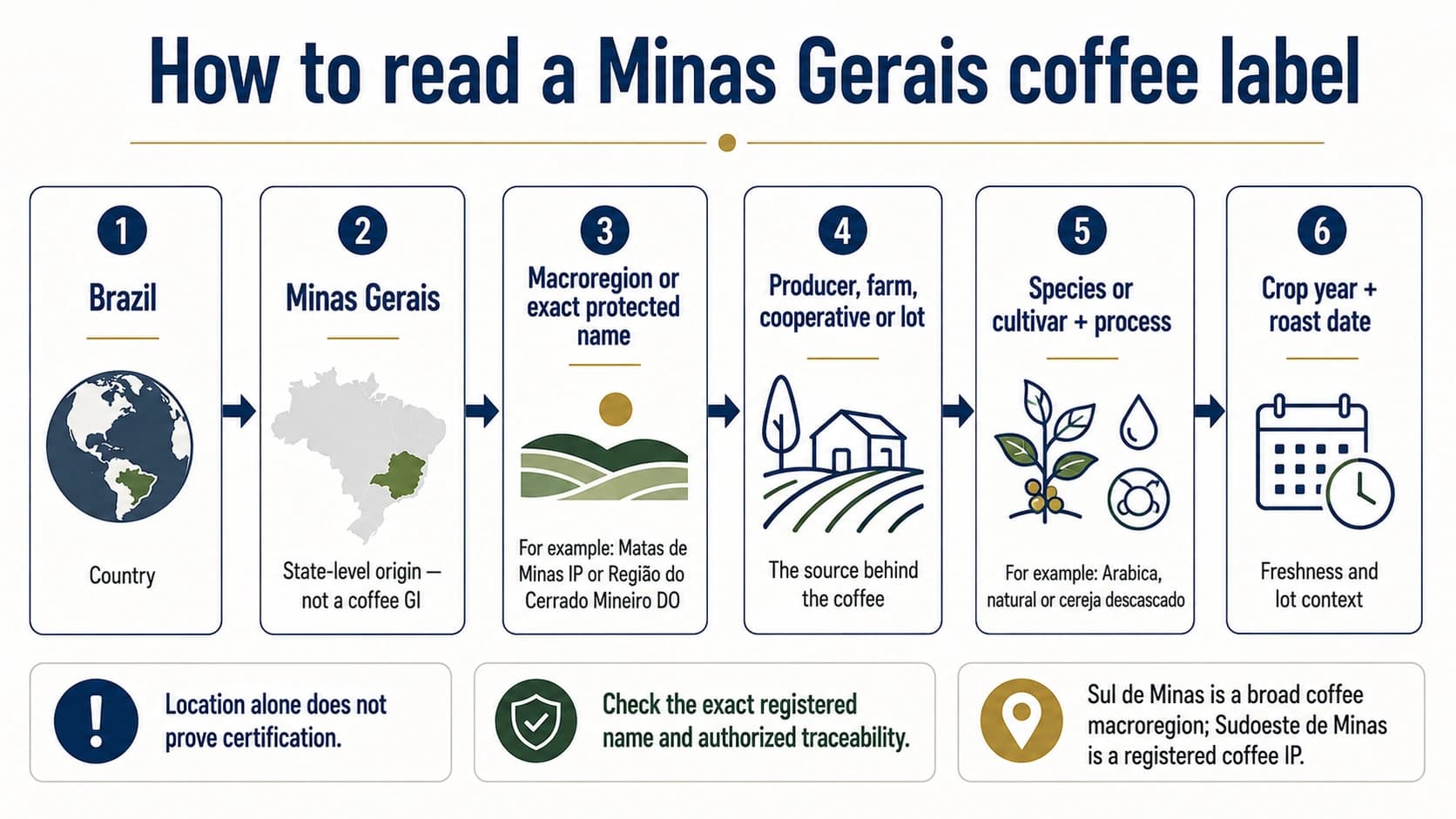 Six-step guide to reading a Minas Gerais coffee label from country and state to protected name, producer, process, crop year and roast date