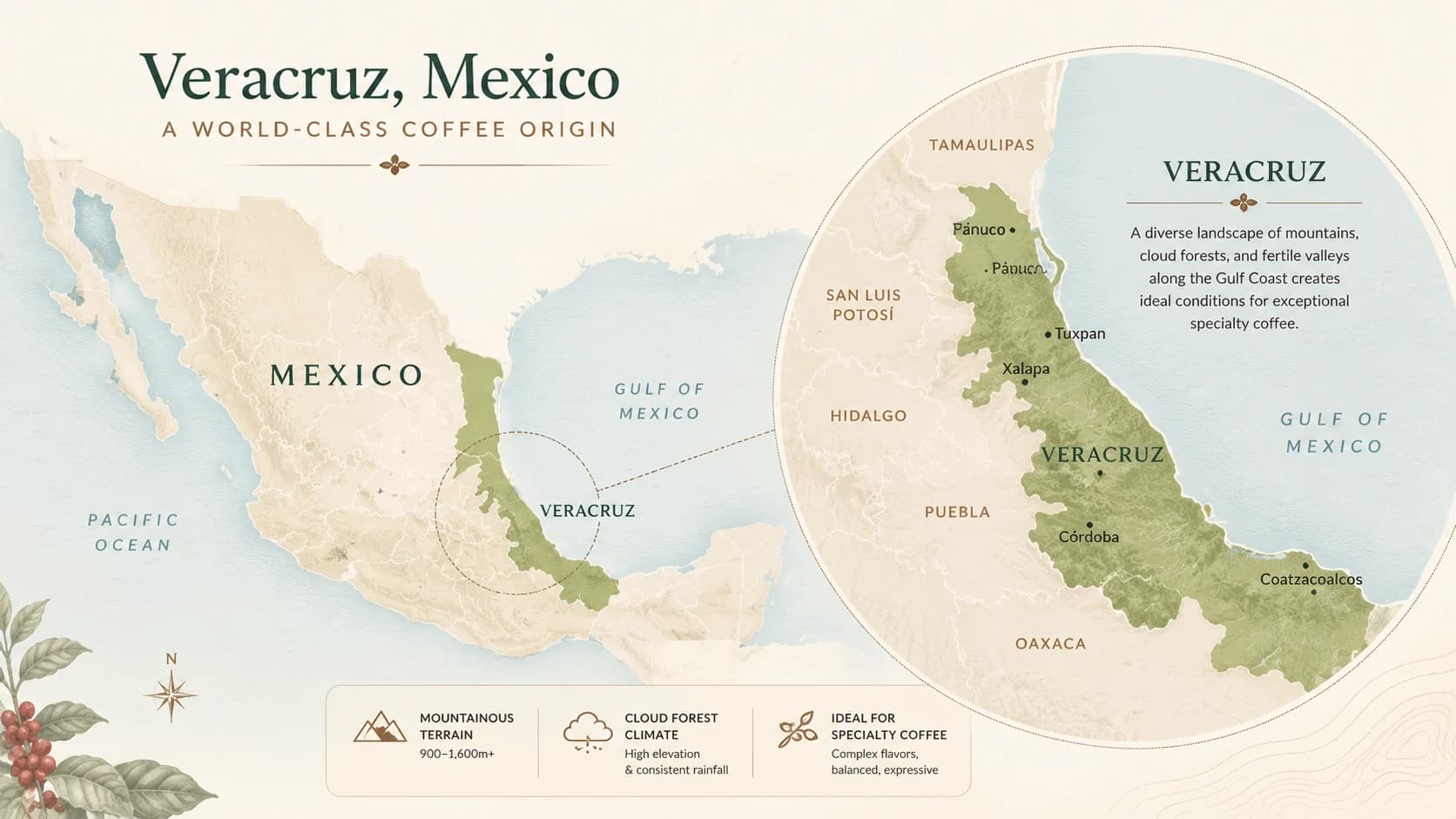 Veracruz coffee region map within Mexico