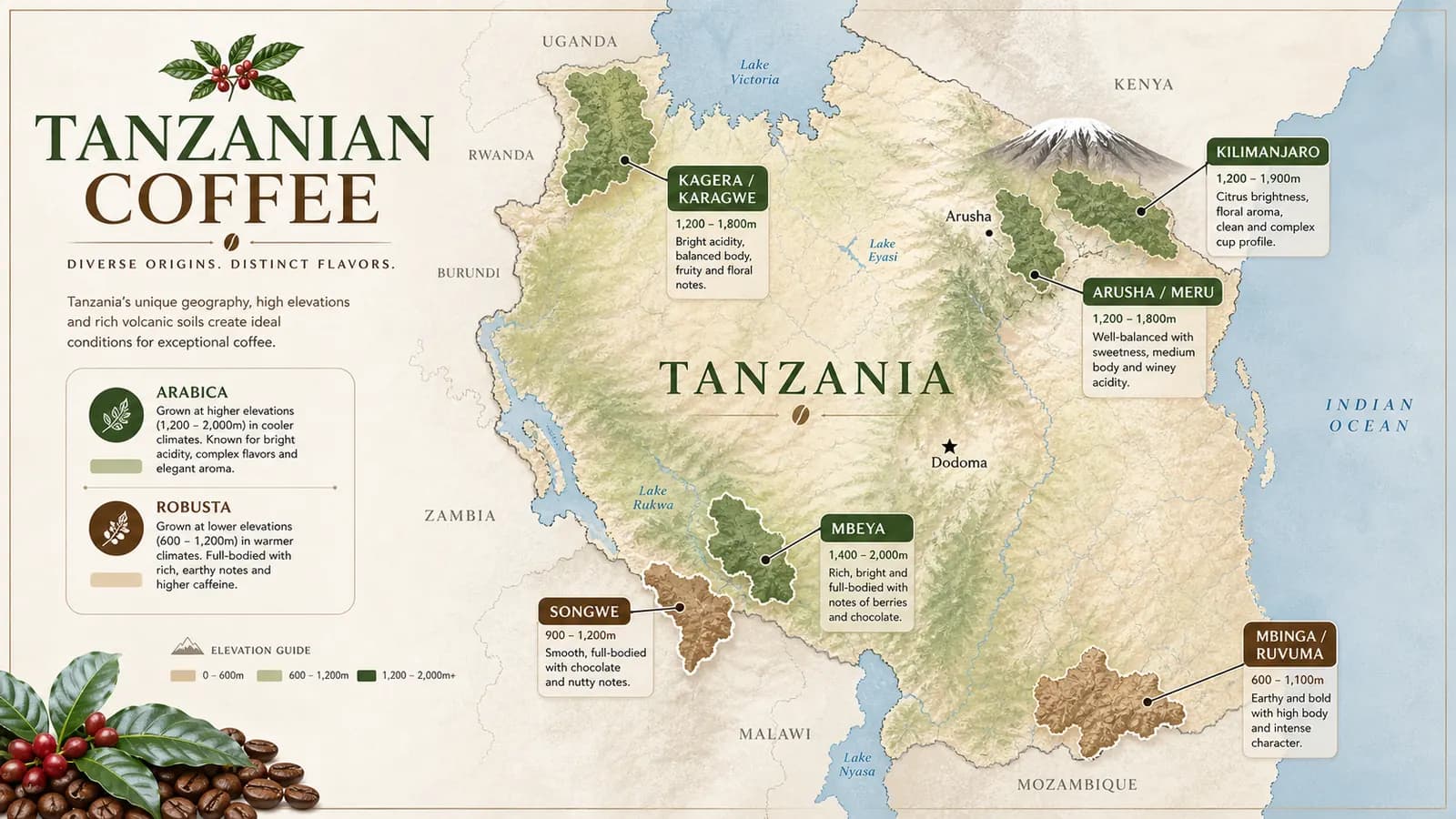 Map-style visual showing Tanzanian coffee-growing regions