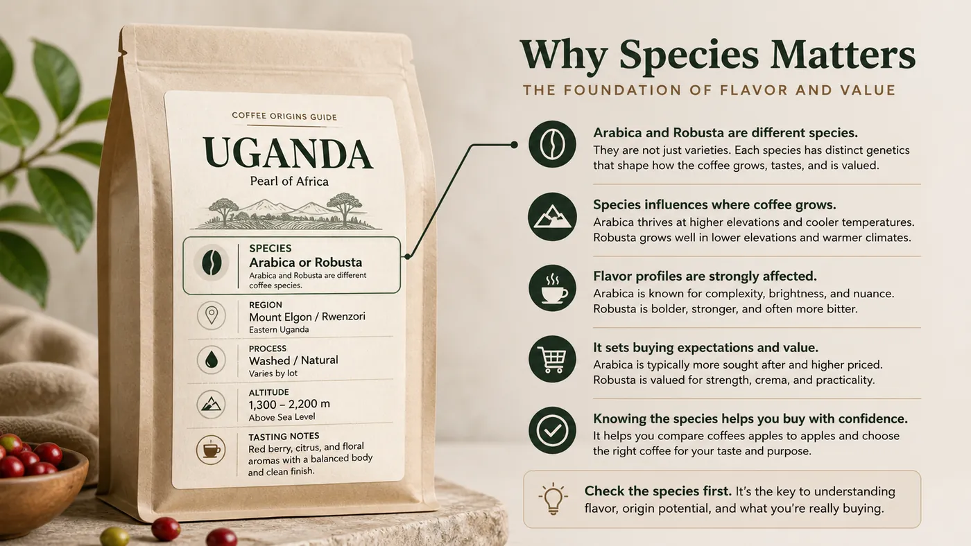 Illustrated Ugandan coffee bag label checklist for species, region, process, grade and roast date