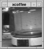 The original XCoffee window showing a small grayscale view of the Trojan Room coffee pot.