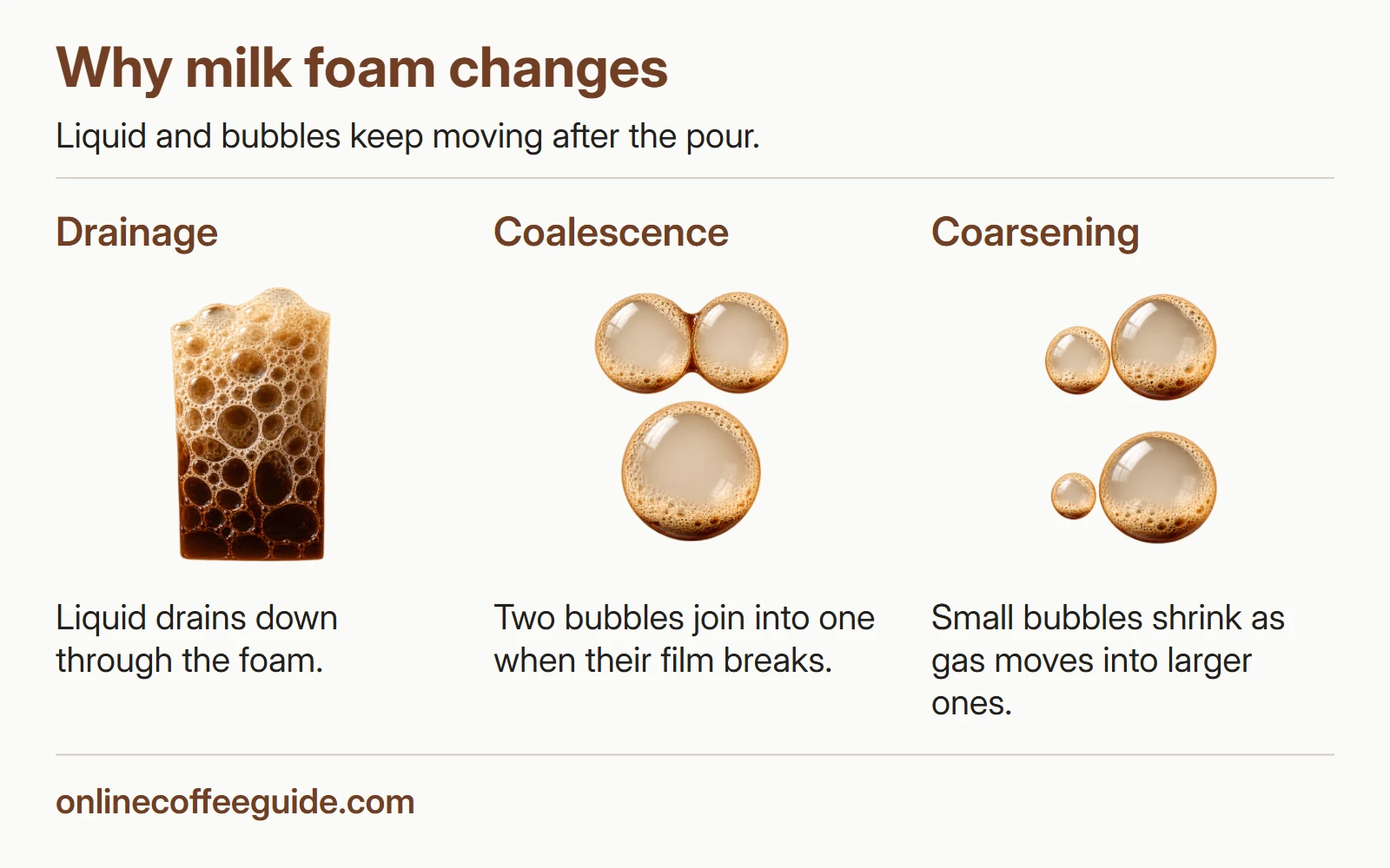 Three foam mechanisms: liquid drains downward; two bubbles join into one; smaller bubbles shrink as gas moves into larger ones.