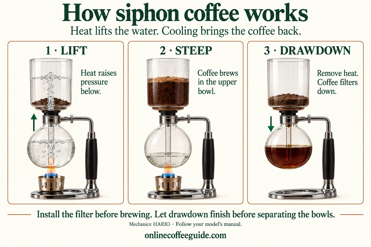 Siphon sequence: pressure lifts water, coffee steeps in the upper bowl, then the heat is removed and coffee filters into the lower globe