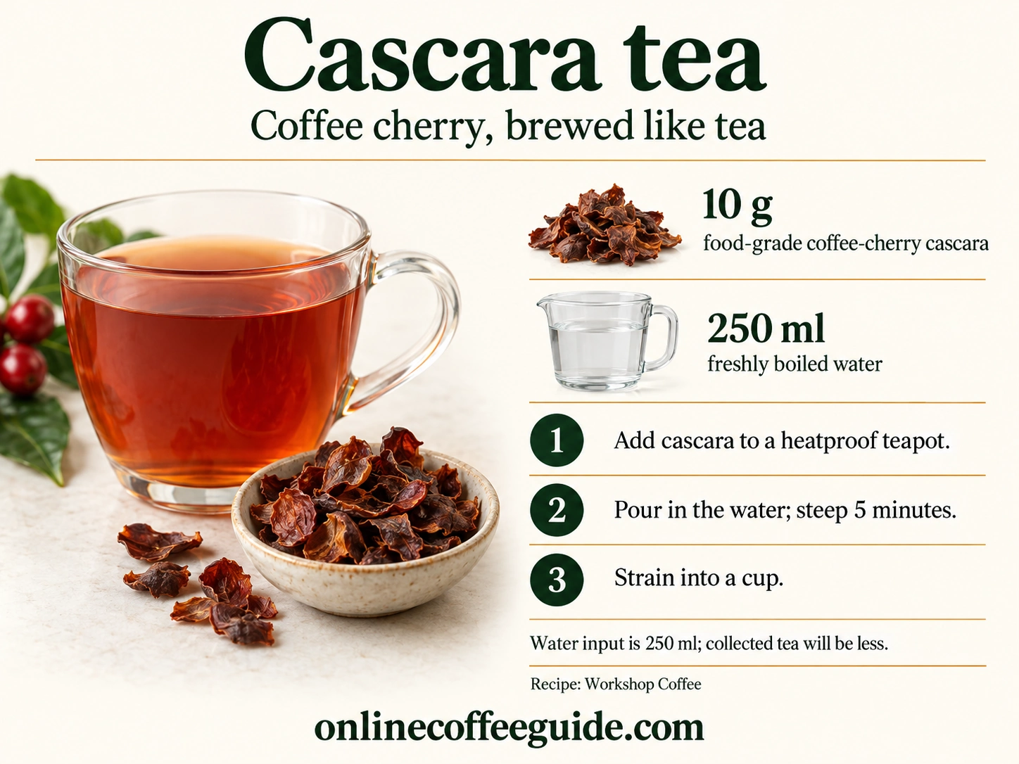 Cascara tea instructions using 10 g food-grade coffee-cherry cascara and 250 ml freshly boiled water, steeped for five minutes and strained